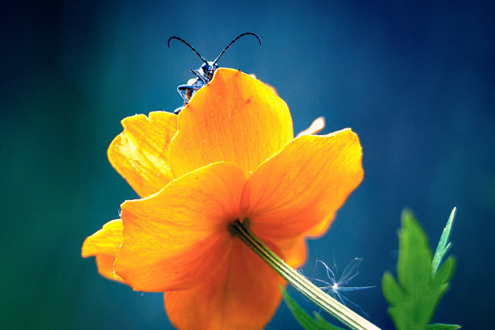 #�����-3 #CanonRP #�������