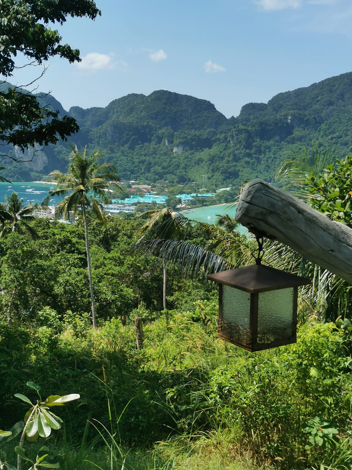 ���� ���� �� ������