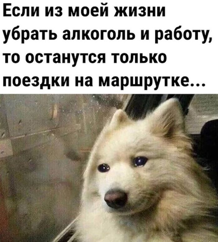 Пес