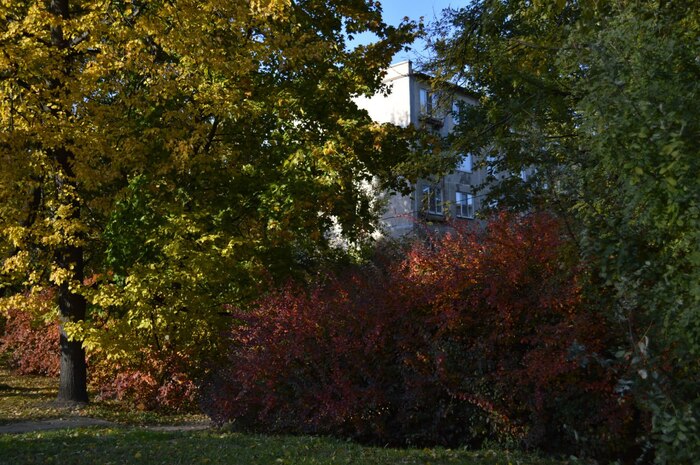 Панелька затерялась среди осени