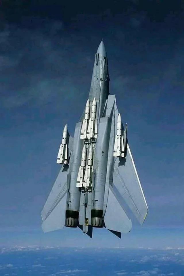F-14 с 6 ракетами AIM-54