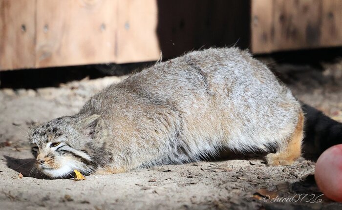 Ползём на работку...