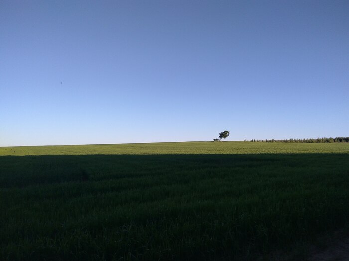 Ответ на пост «Просто хочу поделиться фотографией, которую у себя нашел а архиве»