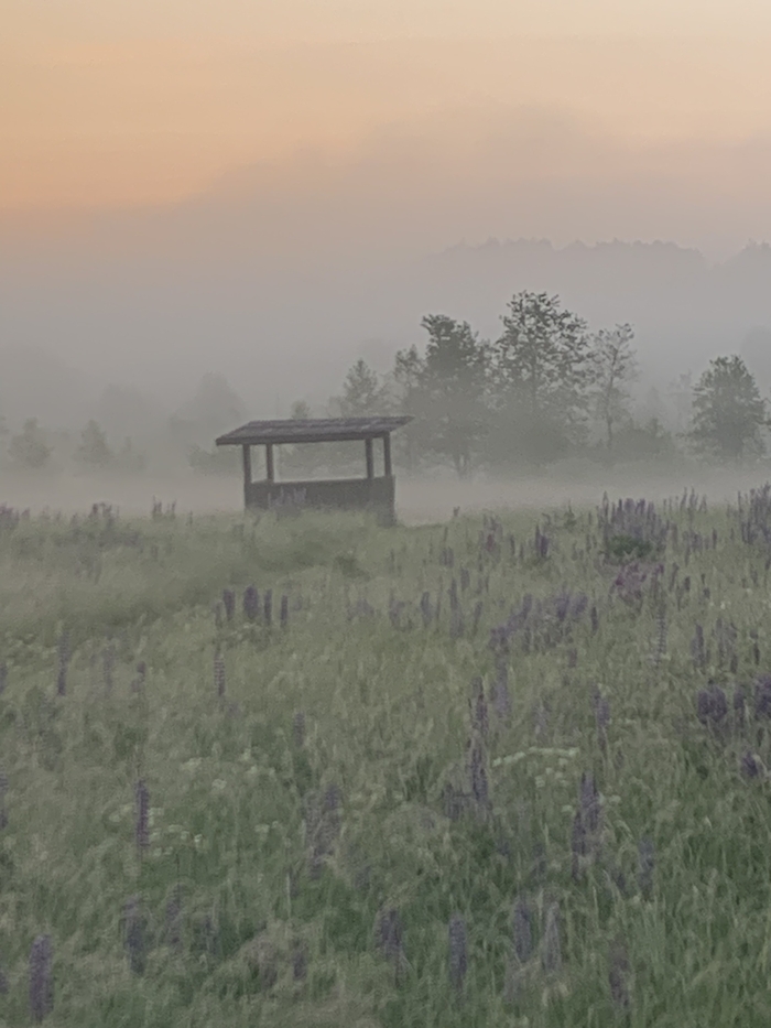 Ответ Margo3999 в «Просто хочу поделиться фотографией, которую у себя нашел а архиве»