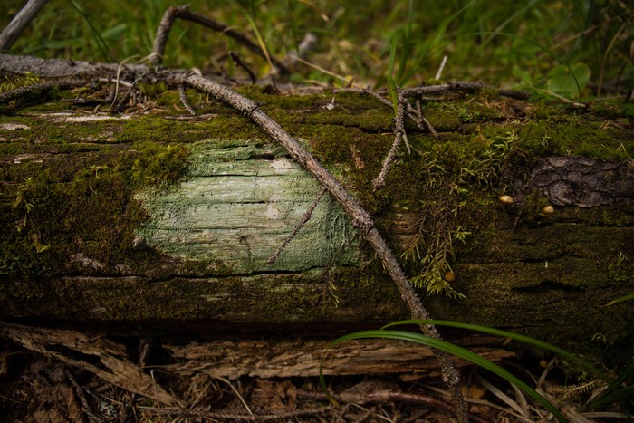 фактурное бревно