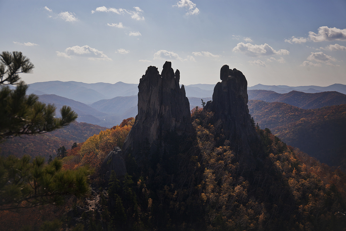 Что-то на осеннем