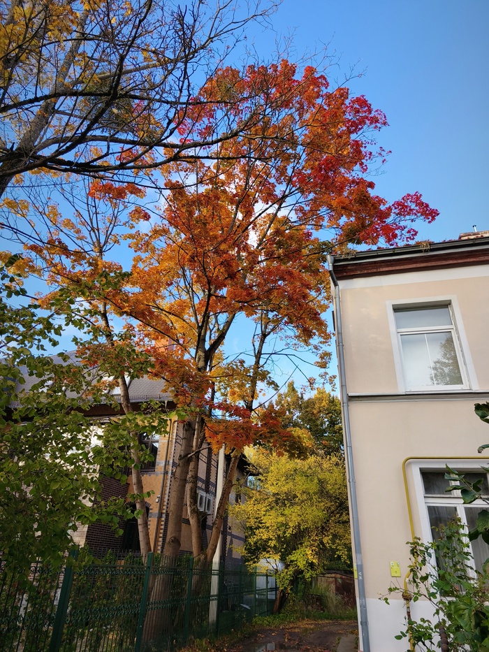 Улица Чайковского