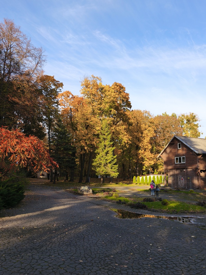 Центральный парк