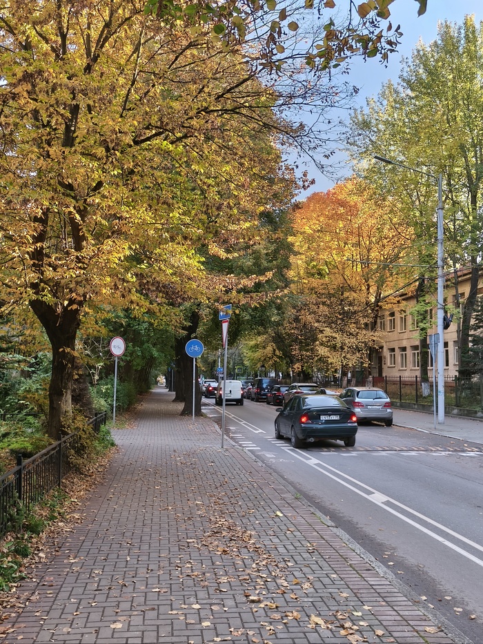 Улица Комсомольская