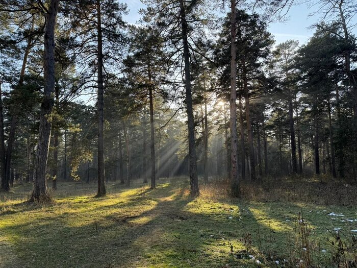 ��� ������, �����!