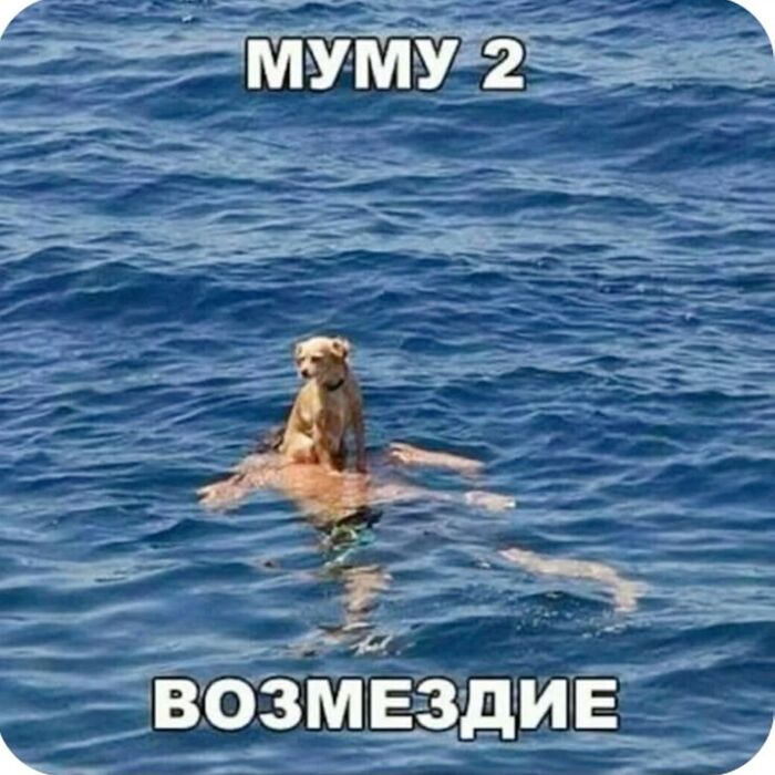Новейшая экранизация