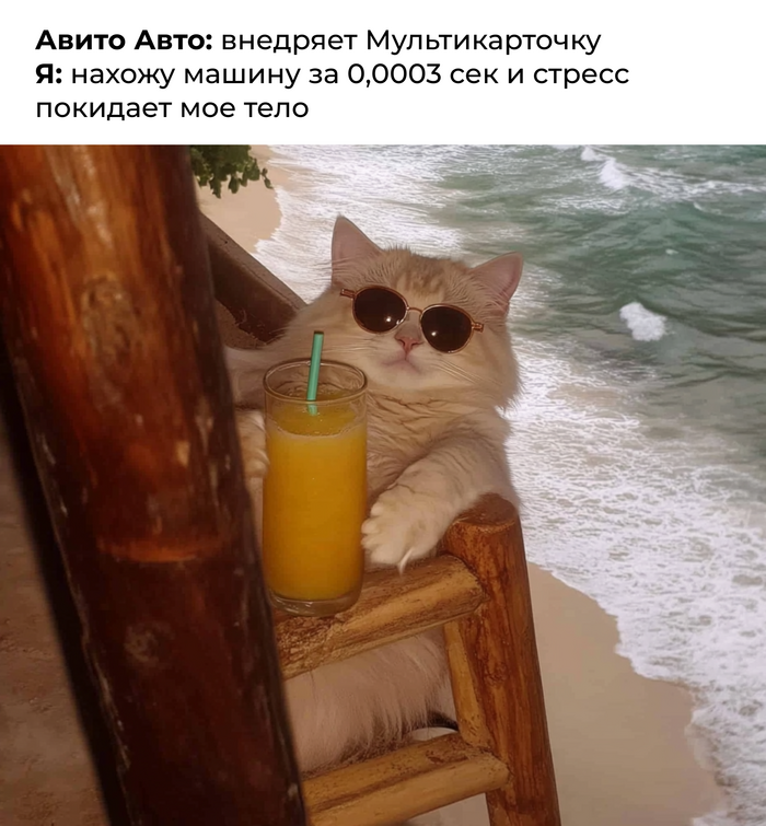 Авито Авто запустил «Мультикарточку» — новый формат поиска автомобилей по моделям