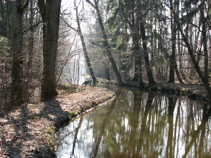 Просто хочу поделиться фотографией