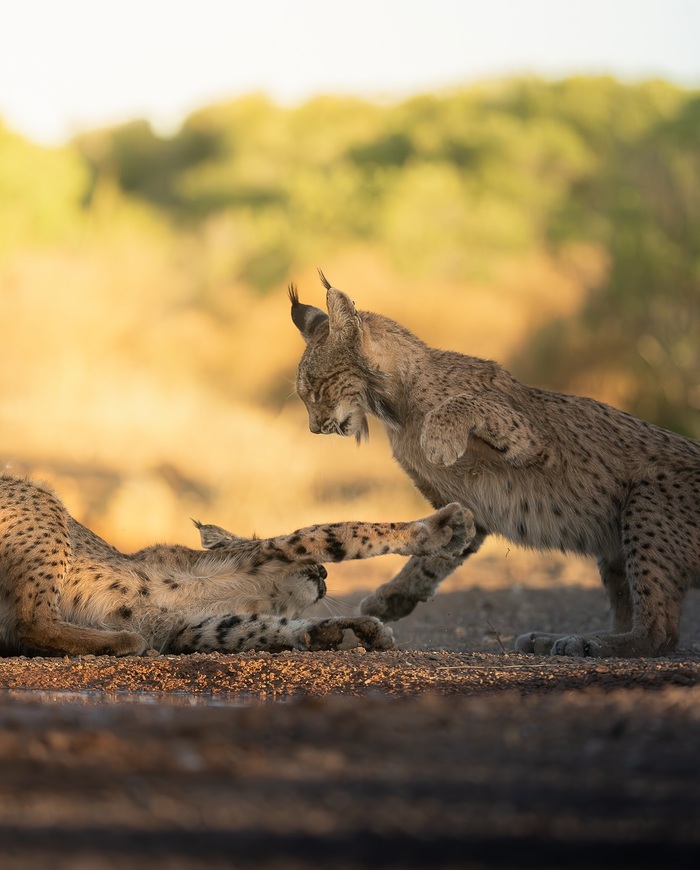 Мать играет с дочкой