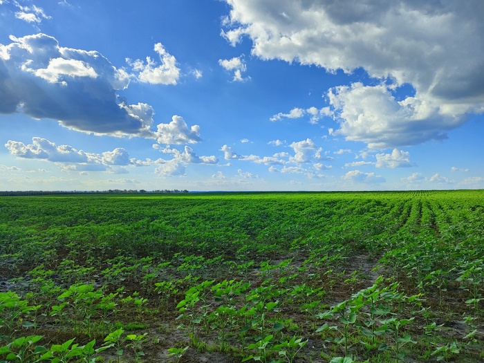 Ответ на пост «Просто хочу поделиться фотографией, которую у себя нашел а архиве»