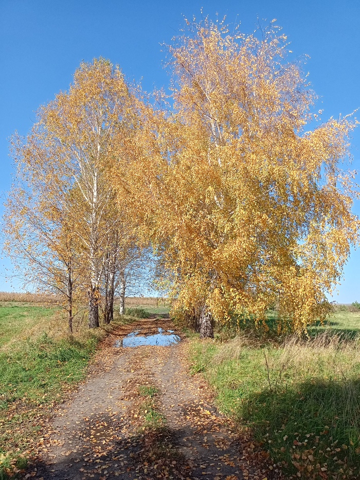 Фотка из архива
