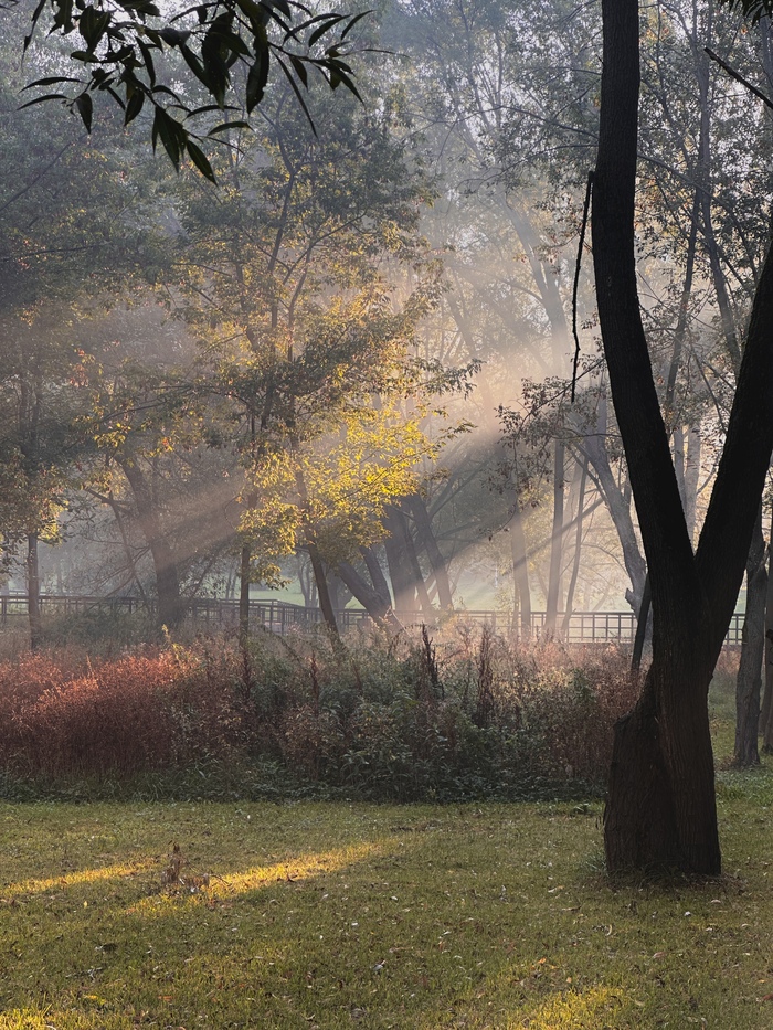 Даже решил зарегистрироваться ради этого 🤗