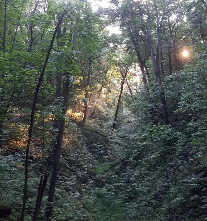 Ответ MayBeeBzz в «Просто хочу поделиться фотографией, которую у себя нашел а архиве»