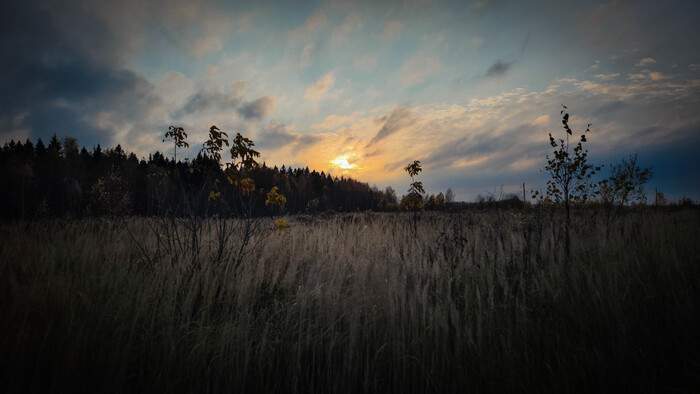 На велике прокатился. Мокро, туманно и по осеннему атмосферно