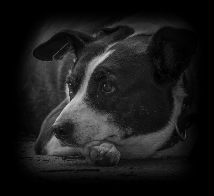 "Что день грядущий...