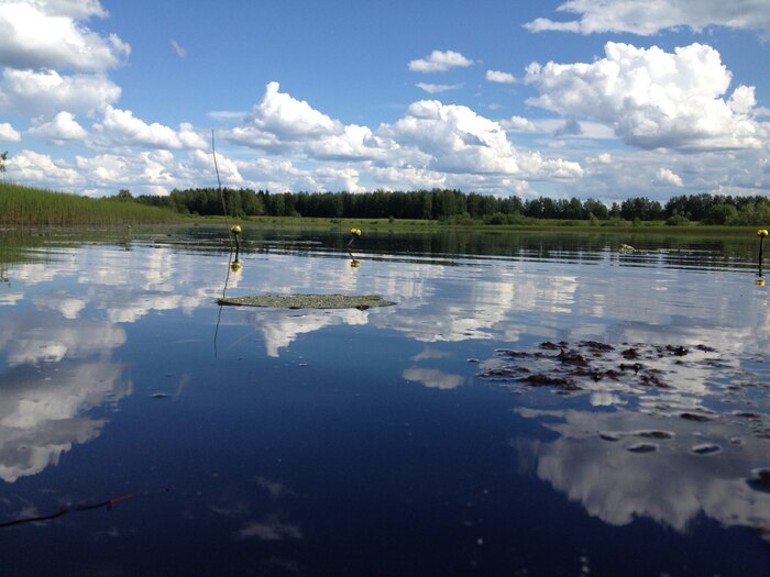 Хочу поделиться фотографией, которую нашел у себя а архиве