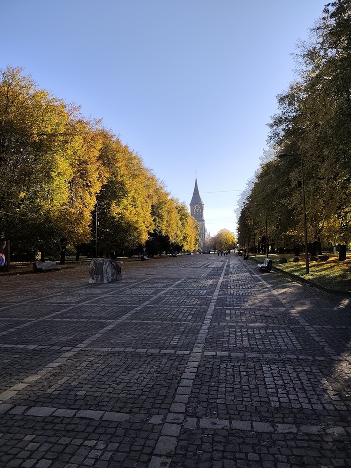 Калининград, Остров Канта (Кнайпхоф)