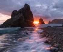 �����������, ���������, �������