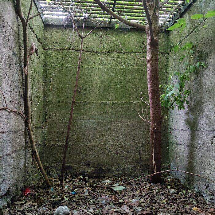 Ответ LolitaDon в «Просто хочу поделиться фотографией, которую у себя нашел а архиве»