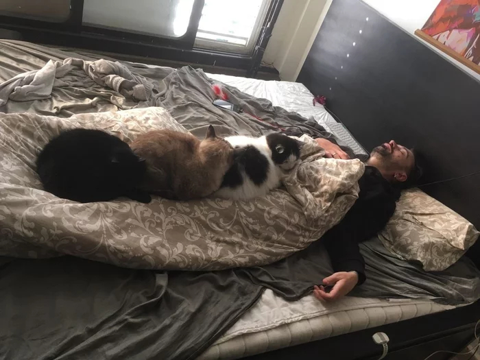 ТриКОТАжное одеяло