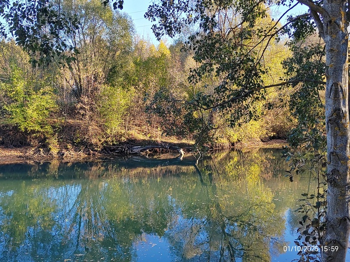 Ответ на пост «Просто хочу поделиться фотографией, которую у себя нашел а архиве»
