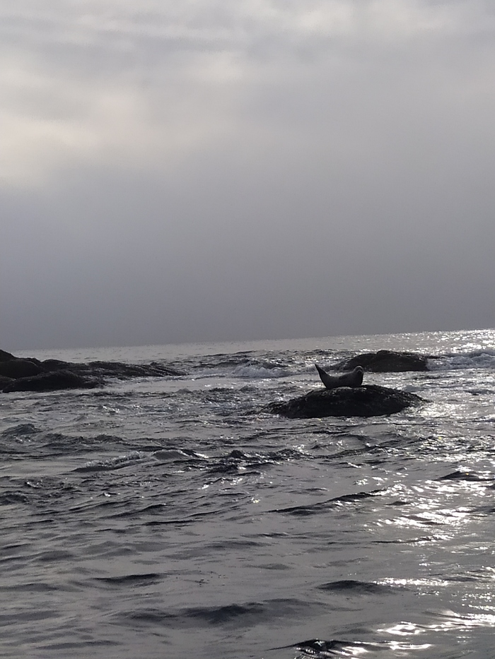 Тоже хочу поделиться фотографией