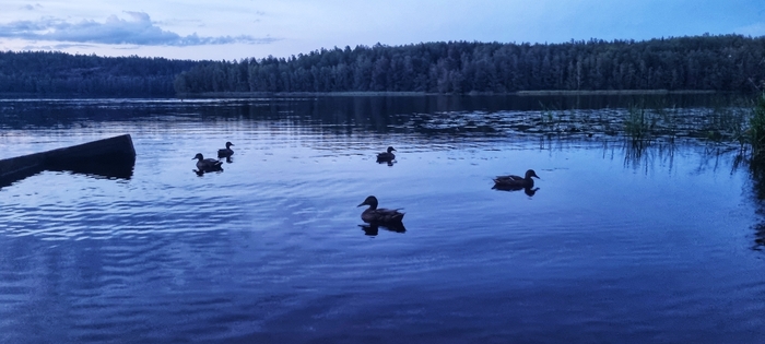 Что-то они задумали...