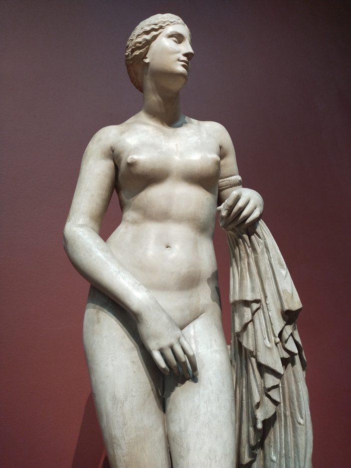 Музей Пушкина. Афродита