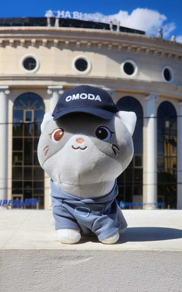 #КотМодиВхудиOmoda