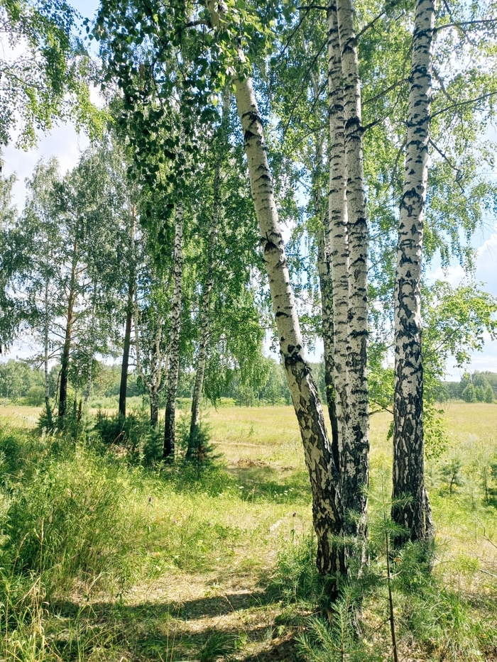 ���� � ����� �� ���������� ��������. 