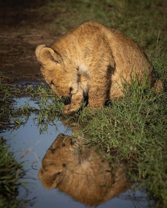Давай дружить!