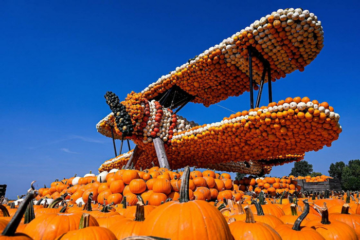 Фестиваль в Людвигсбурге, Германия. Фото с сайта <!--noindex--><a href="https://pikabu.ru/story/ovoshchi_tyikva_13345450?u=http%3A%2F%2Flivemaster.by&t=livemaster.by&h=68733d753a8e6afdc67dd9ced6b661b78180d5b9" title="http://livemaster.by" target="_blank" rel="nofollow noopener">livemaster.by</a><!--/noindex-->.