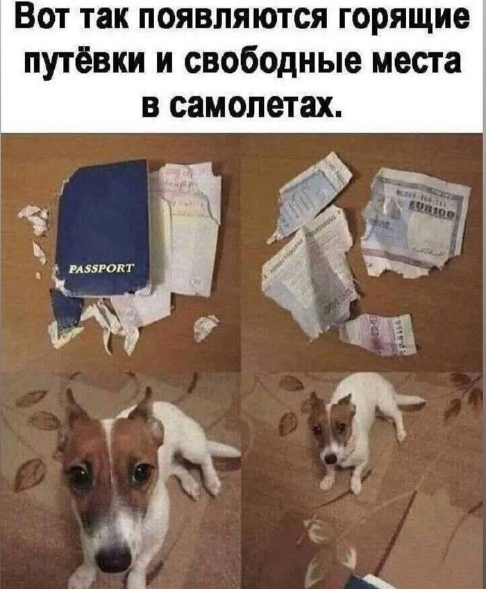На каждый день