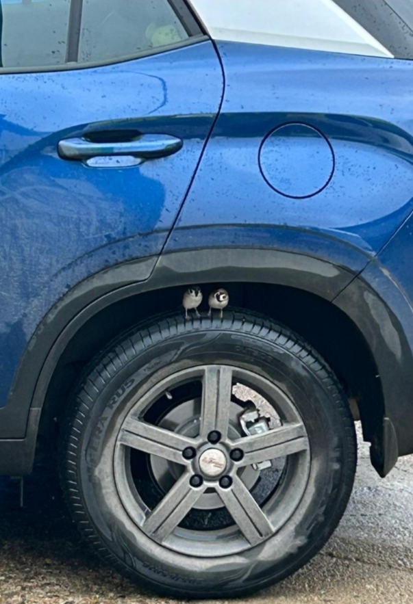 Ну и погодка...