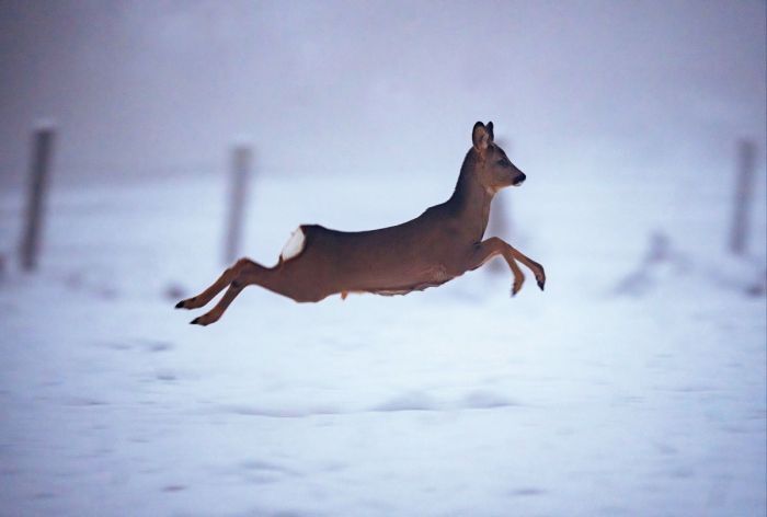 � � ������, � ��� � ������� ���� �����. � ���-������ ��������� � ��� ����? � � ��� ��������� �������. �������� ������. ��������� ������ ��� ��������.