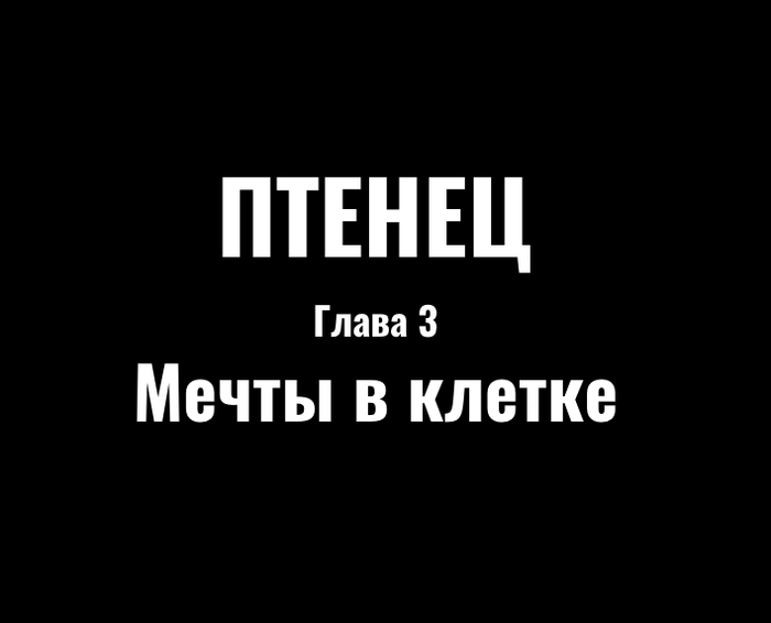 ����� 3: ����� � ������