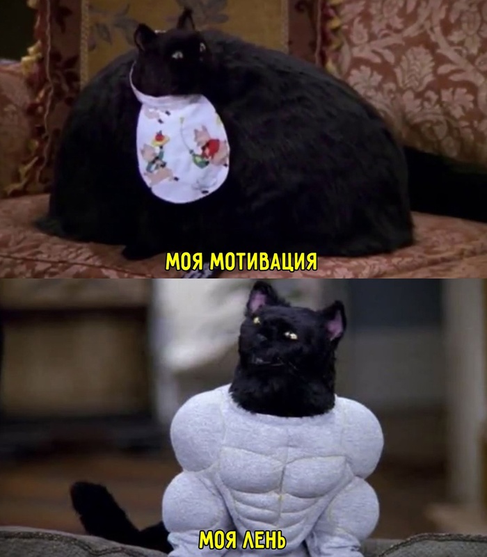 ��� ������ �����