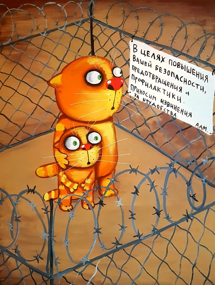     : &quot;   ,     &quot;