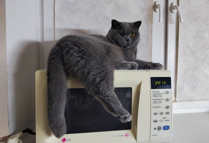 Ну вот так, чо