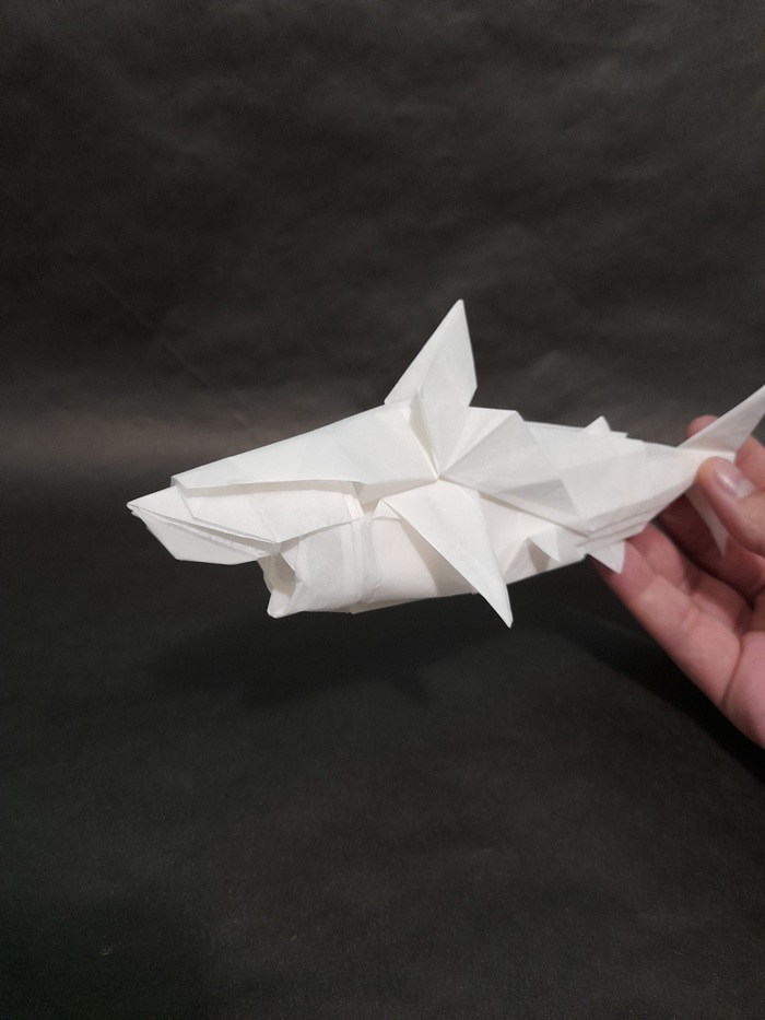 Origami Great White Shark (Satoshi Kamiya) debut