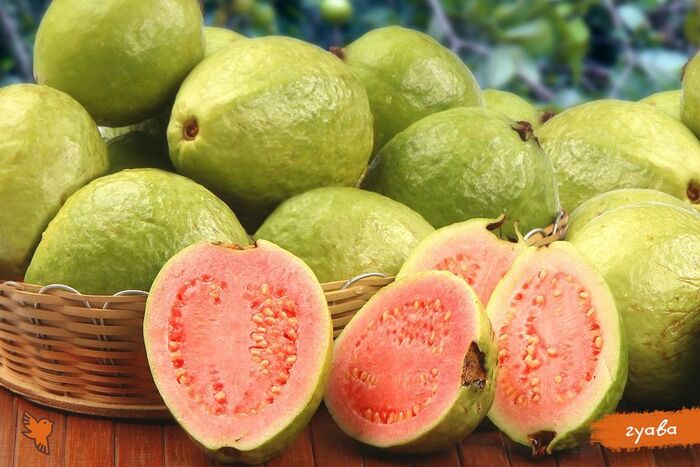 Плоды гуавы. Фото с сайта <!--noindex--><a href="https://pikabu.ru/story/fruktyi_guava_13355980?u=http%3A%2F%2Fshop.soyka.ru&t=shop.soyka.ru&h=b5ebbb982603a5b09f54994855fc8108407b26c8" title="http://shop.soyka.ru" target="_blank" rel="nofollow noopener">shop.soyka.ru</a><!--/noindex-->.