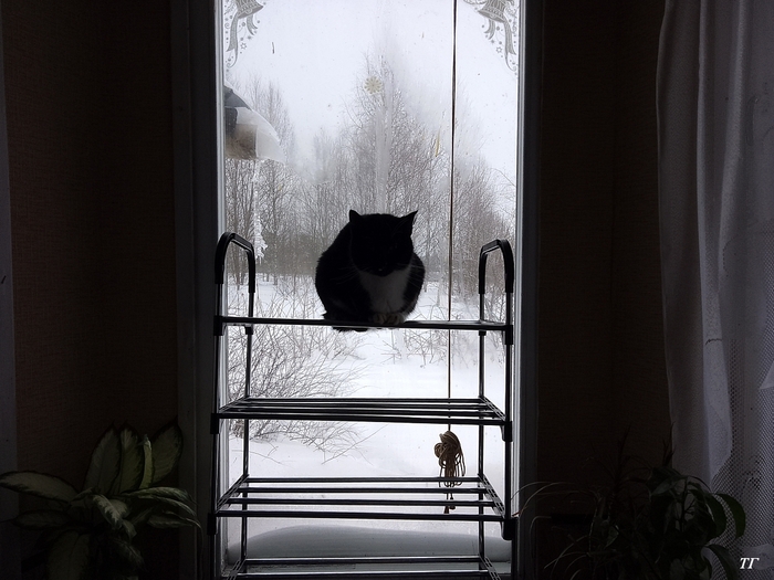 Скоро почти во всех окнах страны...