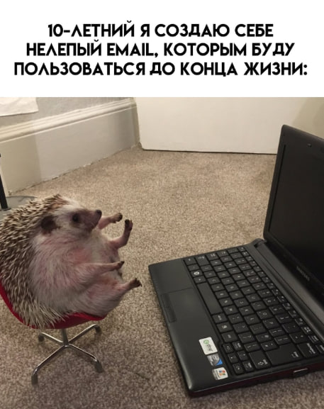 Всё так и было