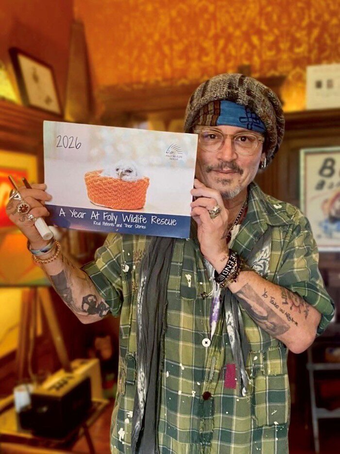 Фото для фонда "Folly wildlife rescue"