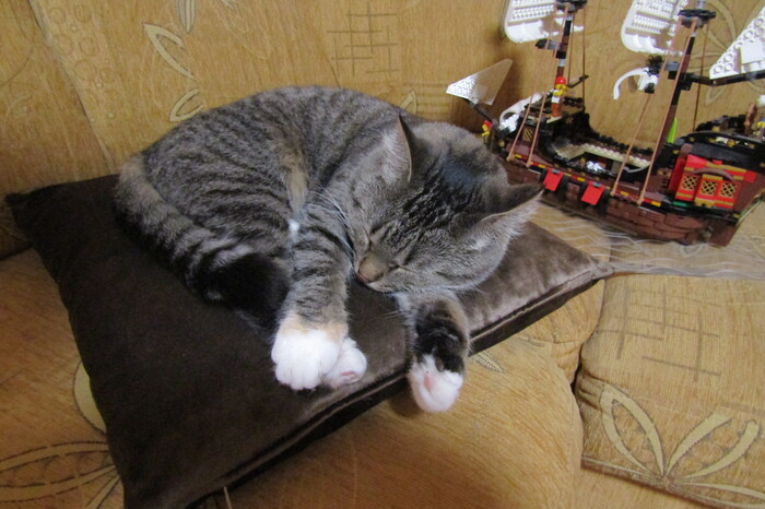 <a href="https://pikabu.ru/story/prichalil_13348548?u=https%3A%2F%2Fpikabu.ru%2Fstory%2Fmagiya_koshek_13305053&t=%D0%9C%D0%B0%D0%B3%D0%B8%D1%8F%20%D0%BA%D0%BE%D1%88%D0%B5%D0%BA&h=3e7fc90e479e09fbcba2773f2a87d4a2094f25f7" title="https://pikabu.ru/story/magiya_koshek_13305053" target="_blank"> </a>